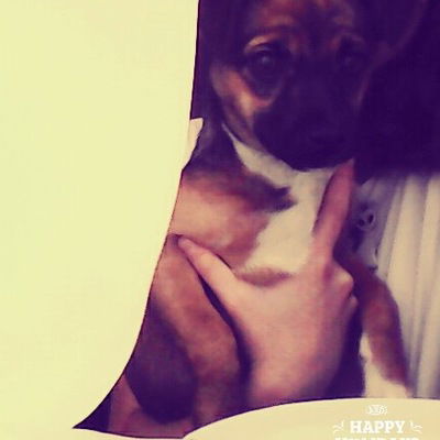 Мария Жданова