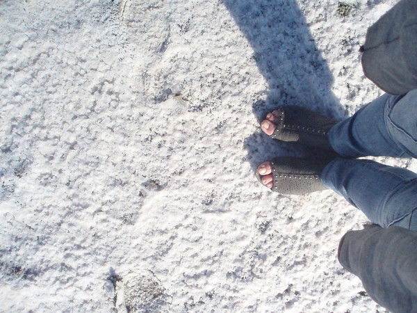 Павлова Юлия