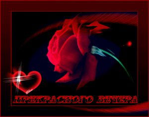 Дашенька Выговская