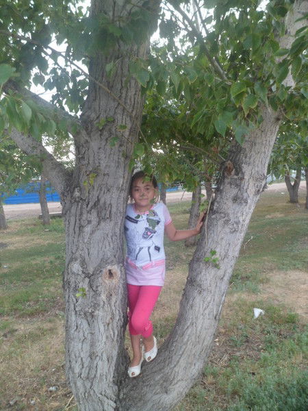 Фариза Ипберген