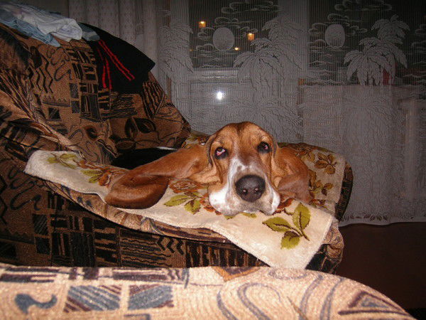 Гуриненко Виталий