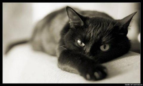 Елена Мельник