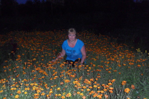 Лилия Стрелец