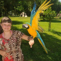 Ксения Лабко