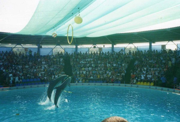 Наталья Алтаева