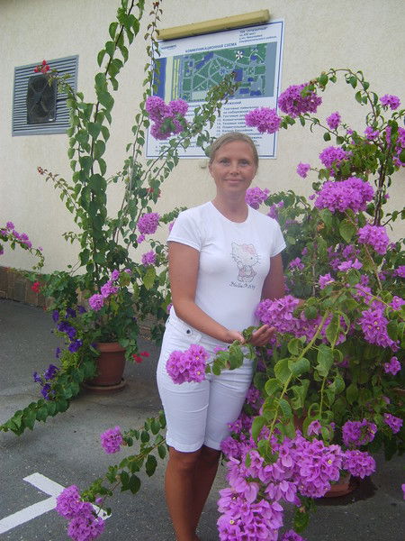 Елена Шулипенко