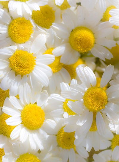 Виталина Габбасова