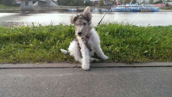 Татьяна Строганова