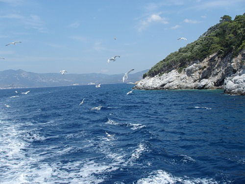 Людмила Морозова