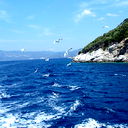 Людмила Морозова