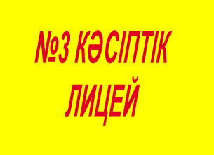 Профессиональный Лицей 3