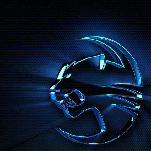 Александр Нестеров