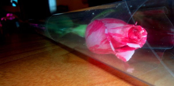 Айгул Акылбекова