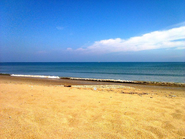 Михаил Соколов