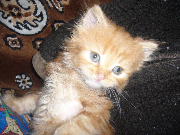 Ольга Ольга