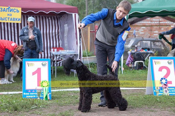 Илья Микеров