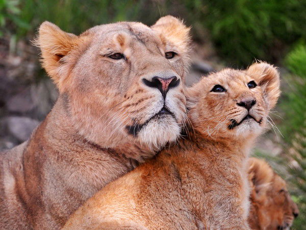 Марченко Татьяна