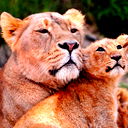 Марченко Татьяна