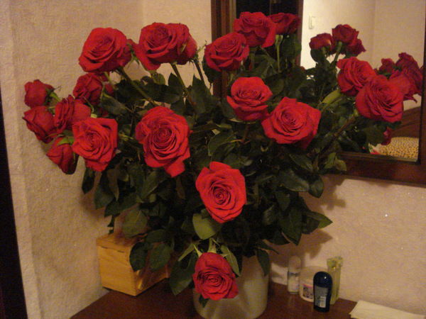 Ольга Умрихина