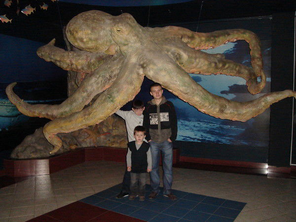 Руслан Колчин