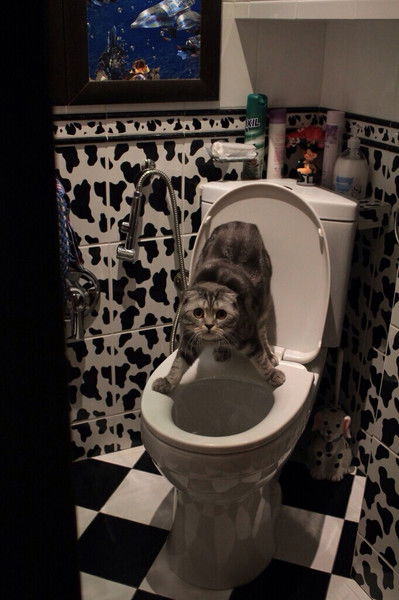 Елена Гекман