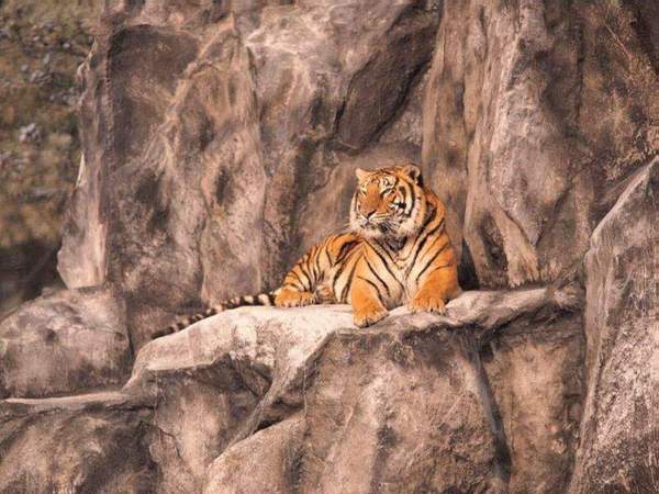 Сейдалы Сейтжанов