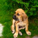 Саша Муравлёв