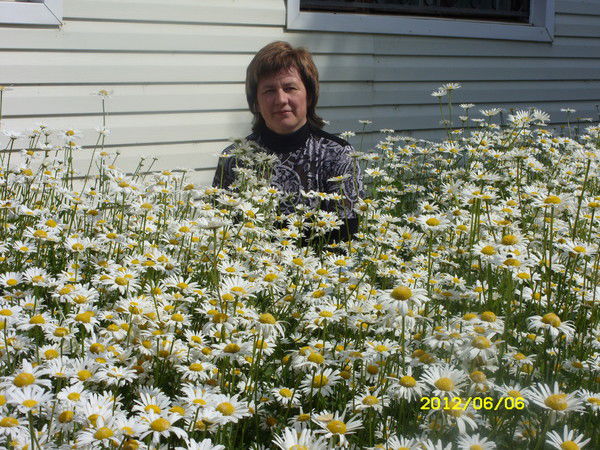 Надежда Шеина