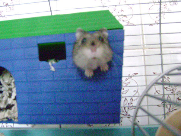 Андрей Чуркин