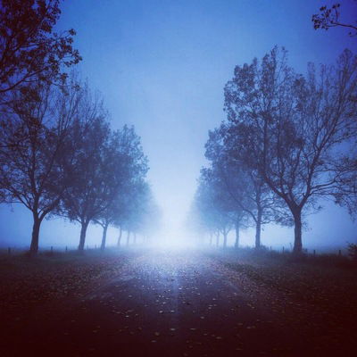 Альбина Хусаинова