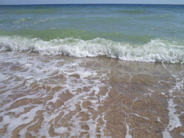 Светлана Юшкевич