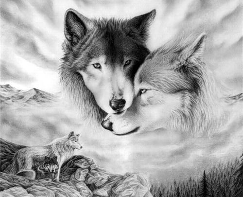 Александра Штепа