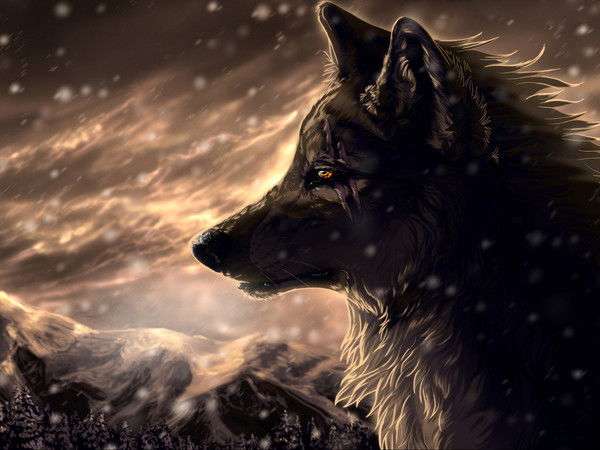 Андрей Домин