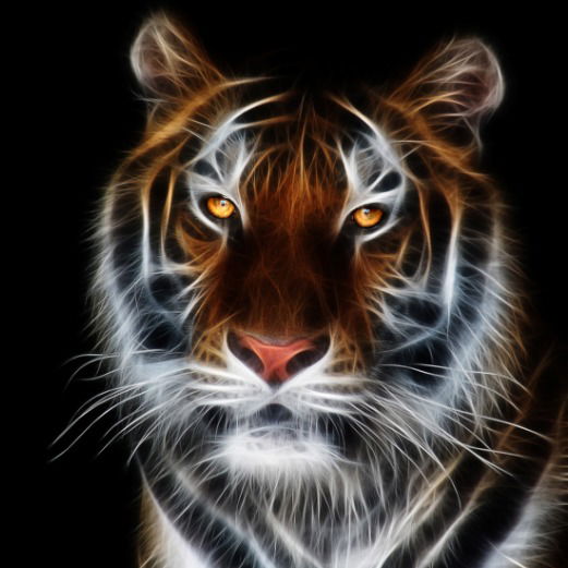 Сергей Никифоров