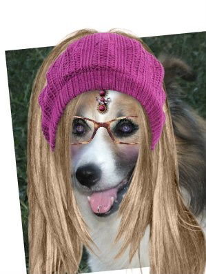 Елена Прокофьева