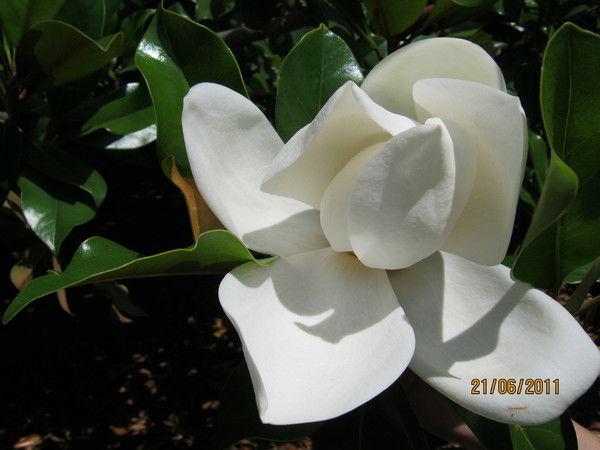 Татьяна Филатова