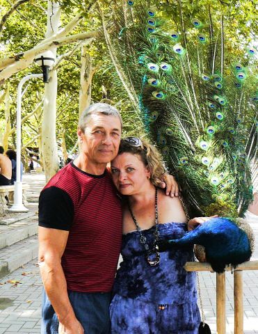 Елена Тимченко