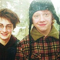 Елизавета Кочергина