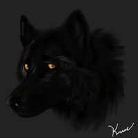 Александра Волкова