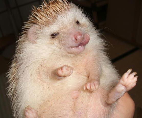 Алексей Крайнов