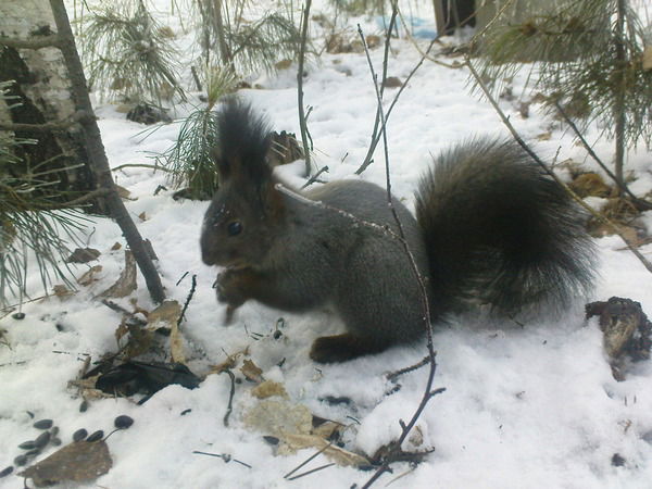 Юлия Утюшева