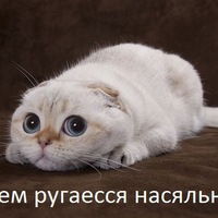 Алексей Дорощенко