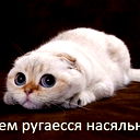 Алексей Дорощенко