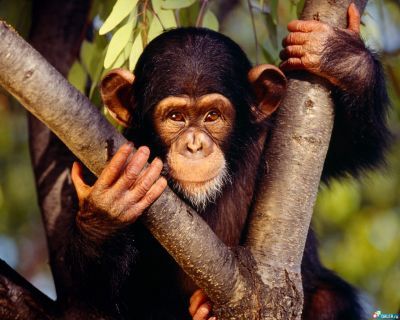 Анна Рукавишникова