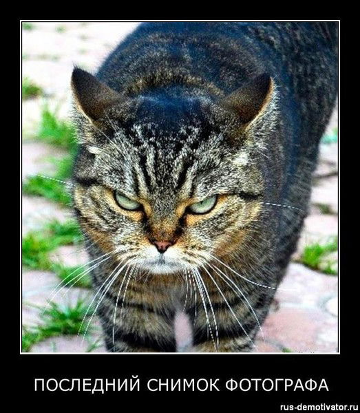 Александр Вирт В Скайпе