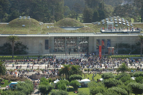 Елена Сычева