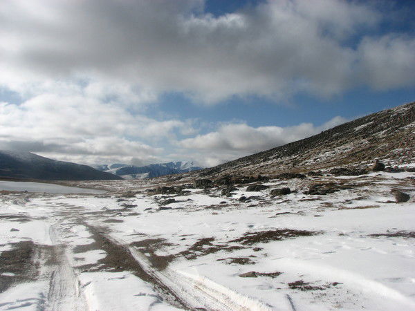 Ирина Ярошенко