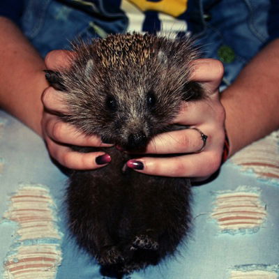 Даша Кулешова