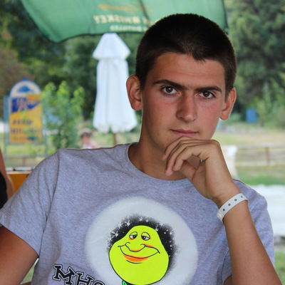 Владимир Левицкий