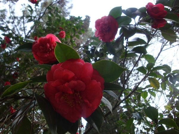 Людмила Заикина